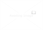 JCB  Mobile Phone Reviews